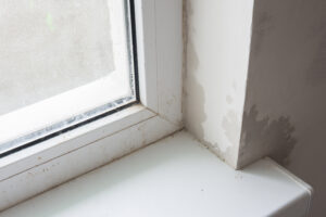 Window Condensation