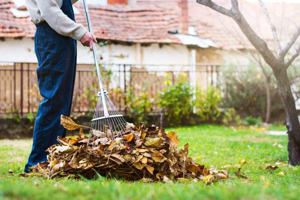 Fall home maintenance