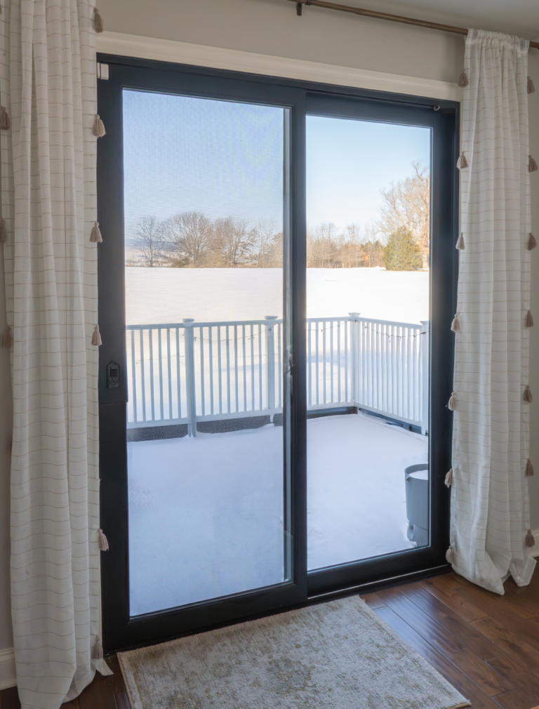 Signature Series Door True Black Interior during winter
