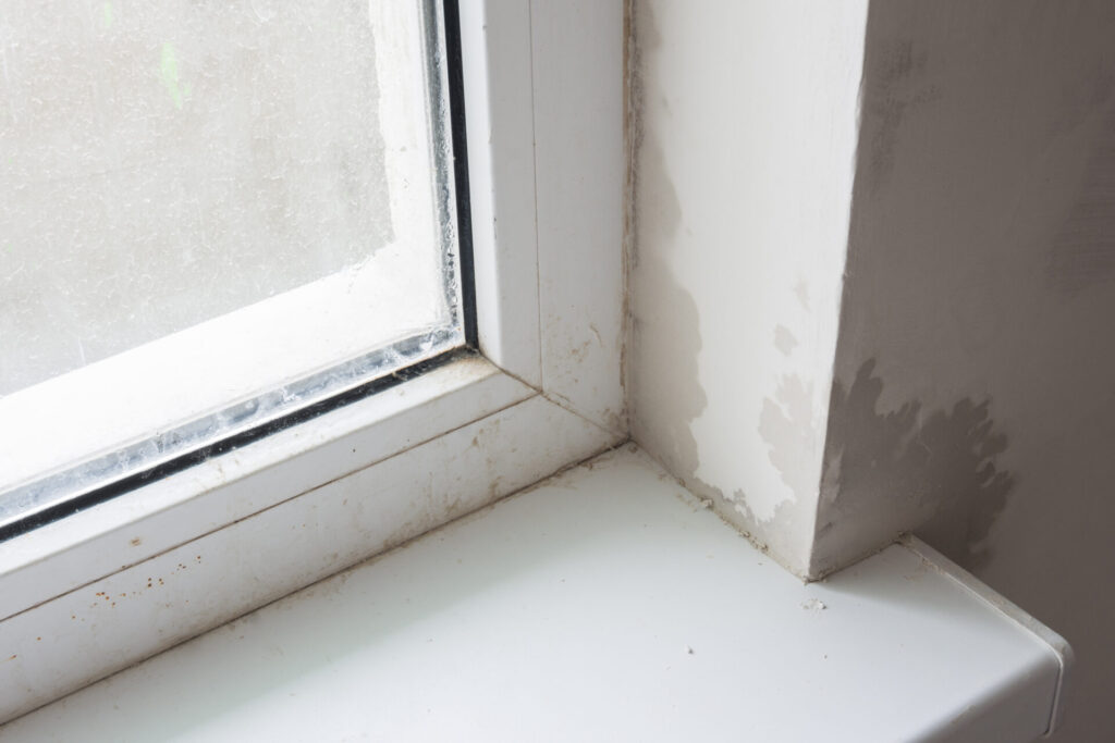 Windows with excessive condensation and moisture can cause water and mold damage to your home.