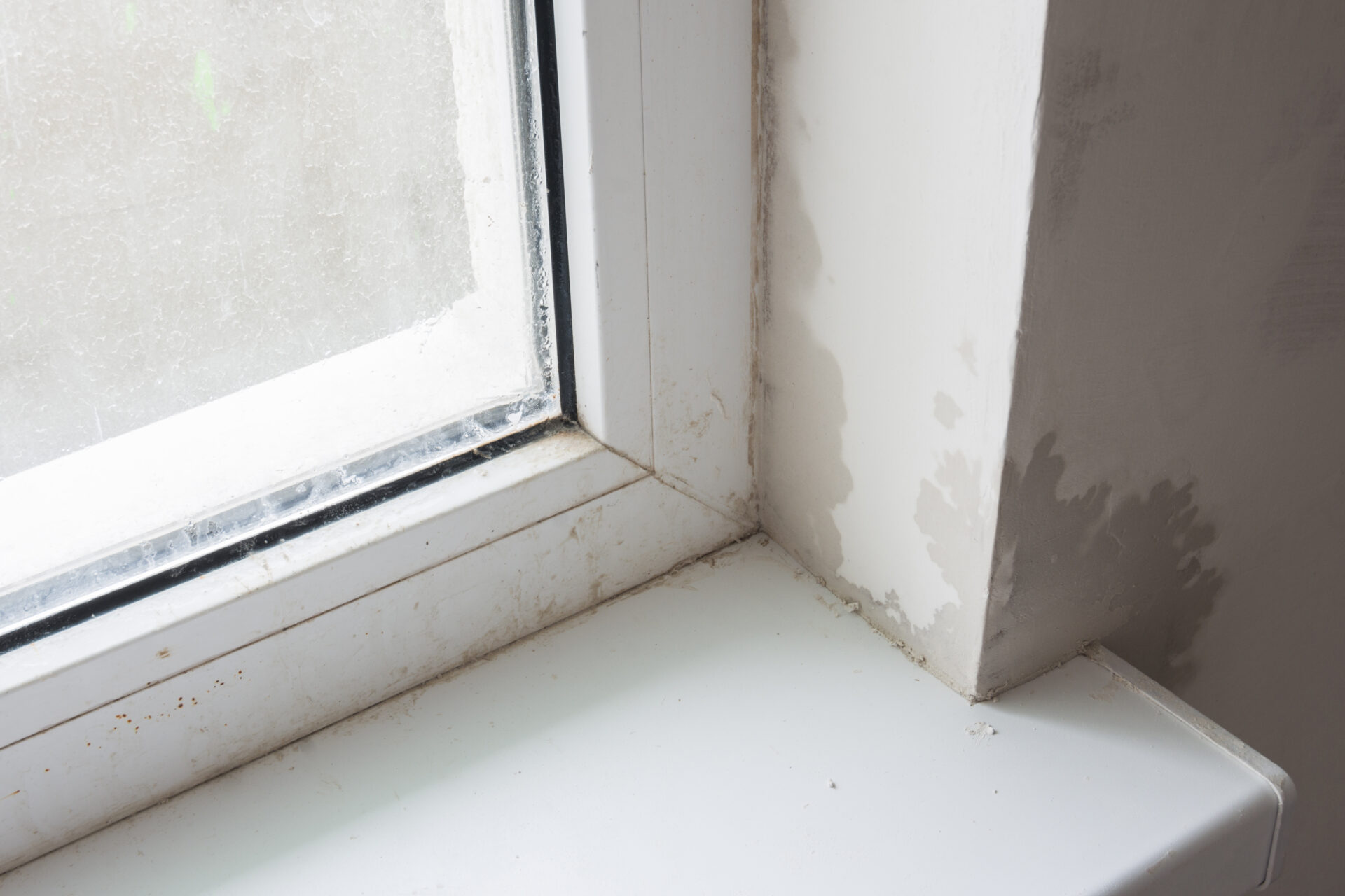 7 Signs You Need to Replace Your Windows