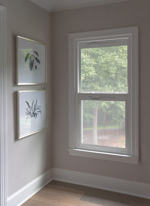 Fortis series double hung window with Blinds + Glass